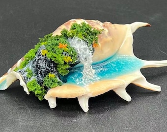 Conchi Shell with Customizable Miniature Ocean – Handmade Marine Diorama, Decorative Exotic Shell, Miniature Seascape