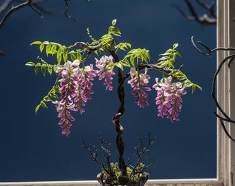 Miniature wisteria in polymer clay, potted plant for dollhouse, purple flower, individual stem or pot of 8 flowers, 1:12 scale decoration