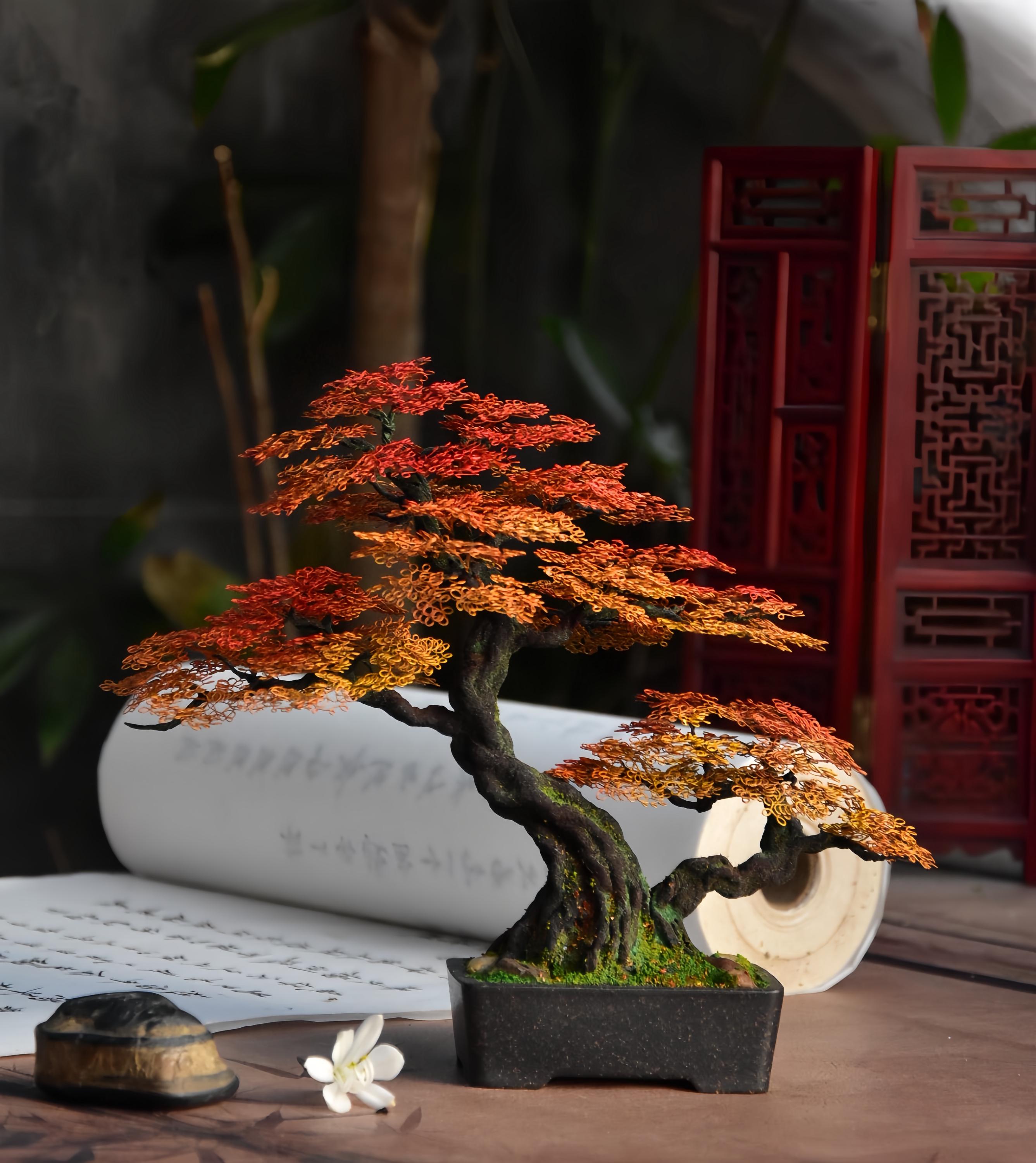 Weide bonsai - Etsy.de