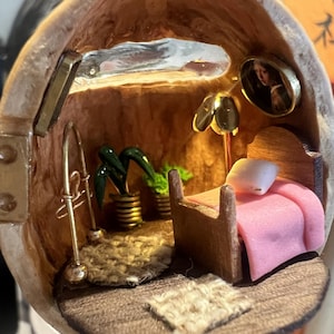 May include: A miniature bedroom diorama inside a walnut shell. The interior features a bed with a pink blanket, a small rug, potted plants, and a tiny picture frame. A gold-colored lamp and a silver-colored mirror are also present.