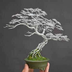 Può includere: Scultura di albero bonsai realizzata a mano con filo color argento. L'albero presenta rami e foglie dettagliate, piantati in un vaso di ceramica verde. Il bonsai è una rappresentazione in miniatura di un albero maturo, che mostra l'arte del bonsai.