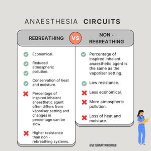 Veterinary Nursing Guide: Anaesthesia Circuits!