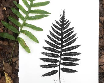 Sztuka natury – wydruk z paproci – sztuka ścienna z motywem botanicznym