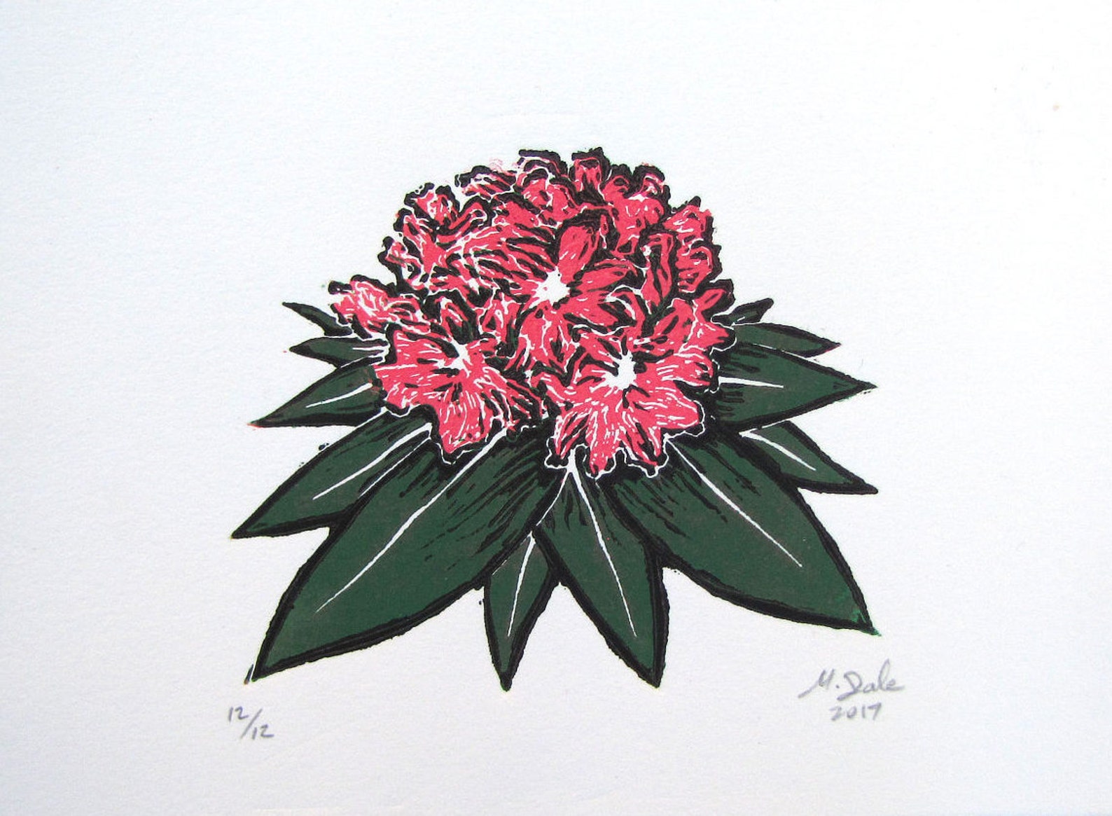 Rhododendron Mountain Laurel Flower 5x7 Original Linocut Etsy