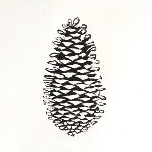 Black Botanical Nature Print Linocut Pinecone Print image 3