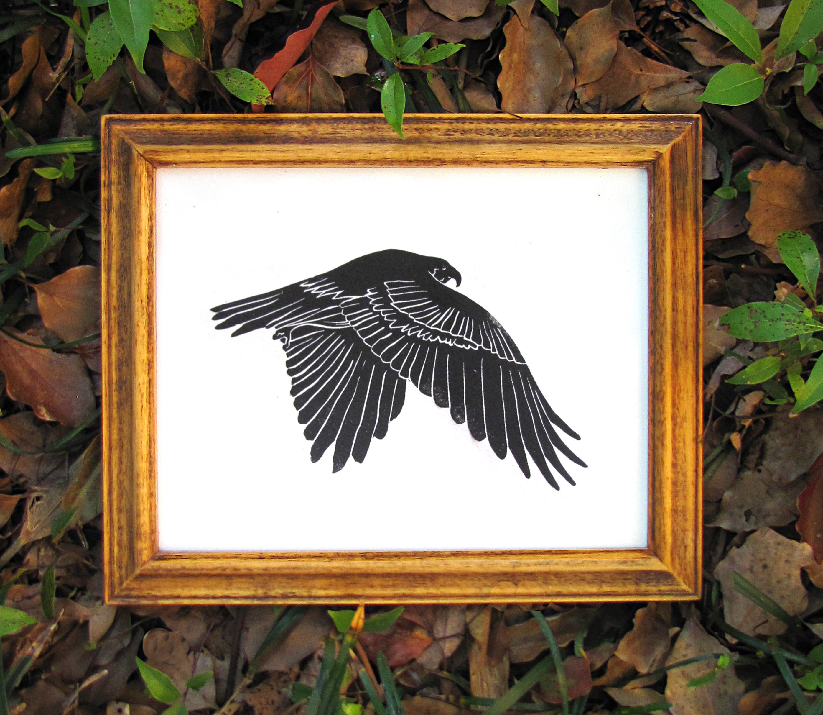 Hawk Rip Print Hawk Linocut Print Falconry Bird Red Tailed Hawk - Etsy