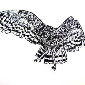 Owl Hunting Prey Block Print Wall Art image 3