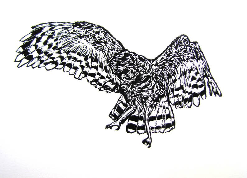 Owl Hunting Prey Block Print Wall Art image 3