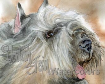 Bouvier Dog Portrait Etsy