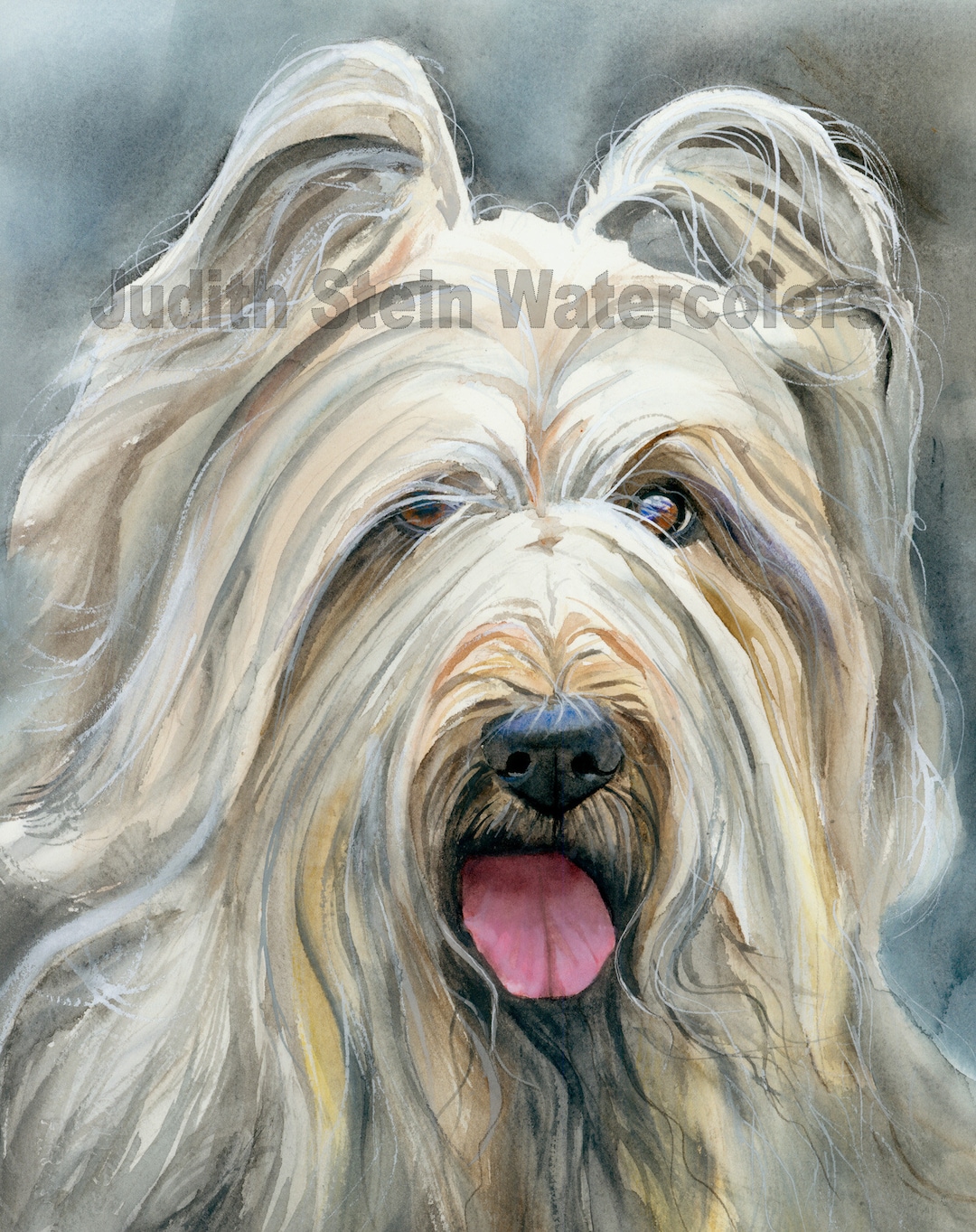 Briard, Goat's Coat, AKC Herding, Pet Portrait Dog Art Watercolor