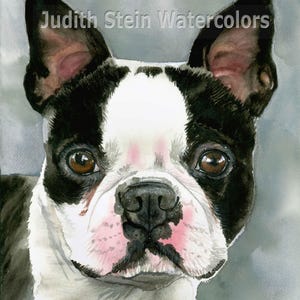 Boston Terrier, AKC no deportivo, retrato de mascota, pintura de acuarela, arte de pared, decoración del hogar, "American Gentleman" de Judith Stein