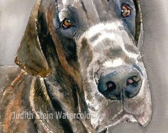 Great Dane, Brindle, Natural Ear, AKC Working, Pet Portrait Dog Watercolor Painting Print, Wall Art, Home Decor, "Great Dane" k9stein