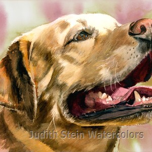 Labrador Retriever, Yellow Lab, AKC Sporting, Service Dog, Pet Portrait, Watercolor Painting Print, Wall Art, Home Decor, &quot;Yeller Feller&quot;