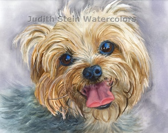 Yorkshire Terrier, Yorkie, AKC Toy, Pet Portrait Dog Art Watercolor Painting Print Picture, Wall Art, Home Decor, "Clancy" Judith Stein
