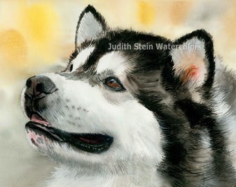 Alaskan Malamute, Sled Dog, AKC Working, Pet Portrait Dog Art Watercolor Painting Print, Wall Art, Home Decor, "Mal" Judith Stein