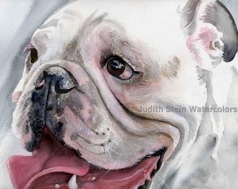 English Bulldog, AKC Non Sporting, White Cream, Pet Portrait Dog Art Watercolor Painting Print, Wall Art, Home Decor, "Bull's Eye" k9stein