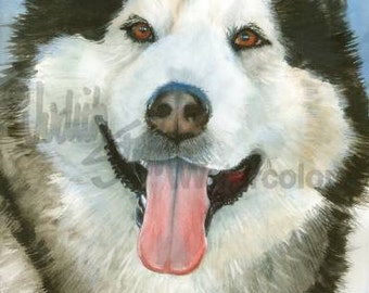 Alaskan Malamute, Sled Dog, AKC Working, Pet Portrait Dog Art Watercolor Painting Print, Wall Art, Home Decor, "Wolf Dog" Judith Stein