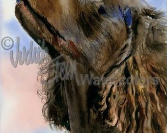 American Water Spaniel, Chocolate, AKC Sporting, Pet Portrait Dog Art Watercolor Painting Print, Wall Art, Home Decor, "I Love a Mystery"