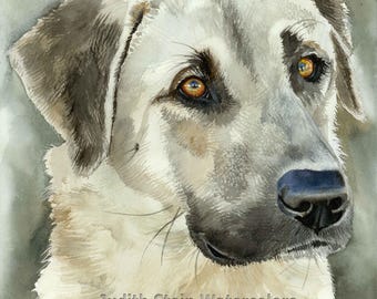 Anatolian Shepherd, AKC Working, Pet Portrait Dog Art Picture Watercolor Painting Print, Wall Art, Home Decor, "Shepherd's Guardian" k9stein
