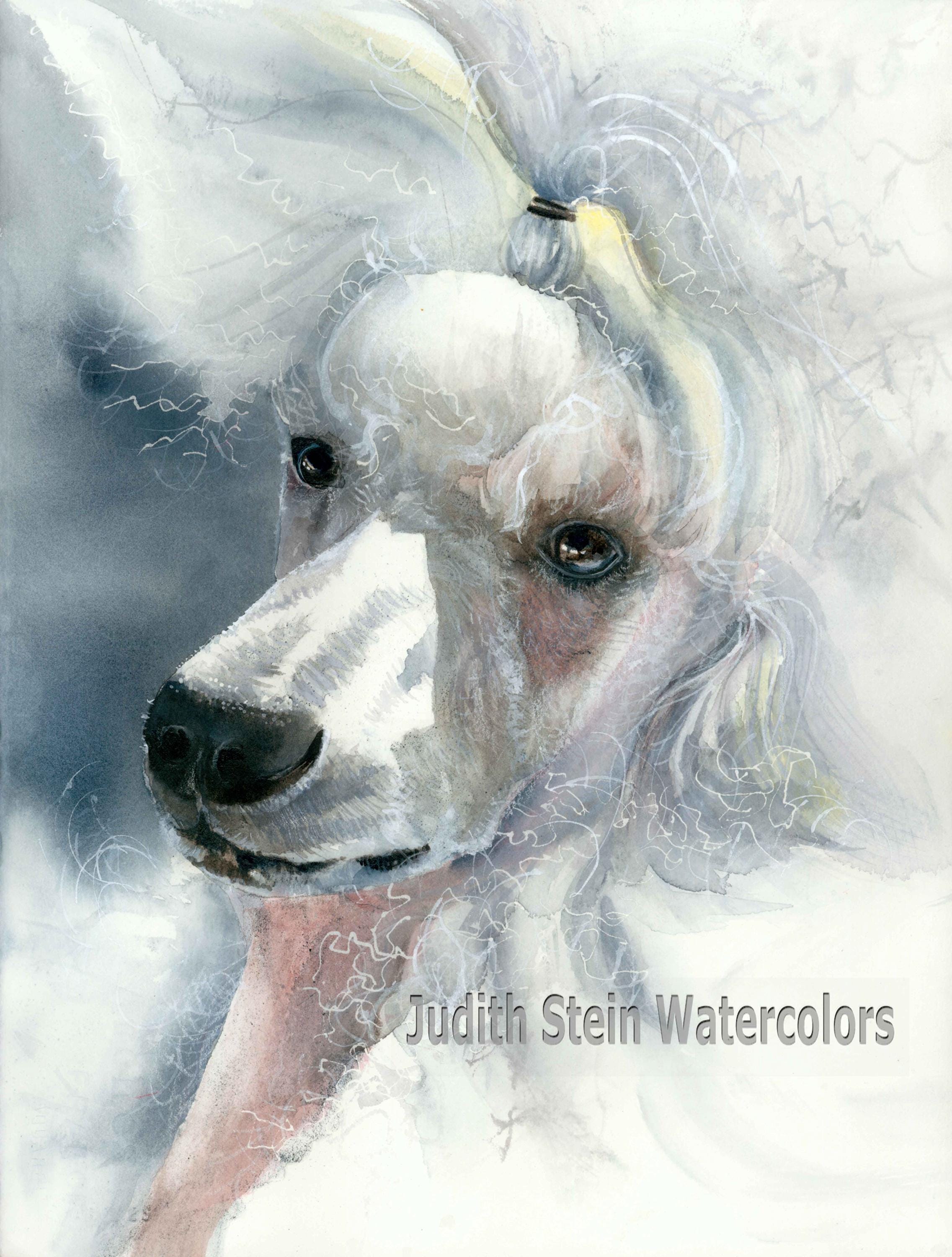 White Standard Poodle, AKC Non Sporting, Pet Portrait Dog Art Watercolor Painting Print, Wall Art, Home Decor, "Sophisticated Lady" k9stein