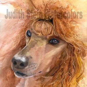 Standard Poodle, Apricot, Cinamon, AKC Non Sporting, Pet Portrait Dog Art Watercolor Painting Print, Wall Art, Home Decor, &quot;Red Poodle&quot;