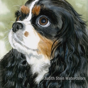 Cavalier King Charles Spaniel, Tri Color, AKC Toy, Pet Portrait Dog Art Watercolor Painting Print, Wall Art, Home Decor, &quot;Fit for a King&quot;