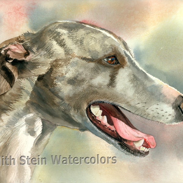 Whippet, Greyhound, Miniature, AKC Hound, Pet Portrait Dog Art Watercolor Painting Print, Wall Art, Home Decor "Cool Whippet" Judith Stein