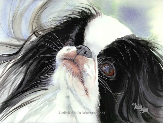 Japanese Chin Black White AKC Toy Pet Portrait Dog Art Giclee