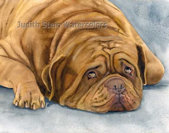 Dogue de Bordeaux French Mastiff AKC Working Pet Portrait Dog Watercolor Painting Print Wall Art Home Decor