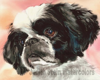 Shih Tzu, Blac, White, AKC Toy, Pet Portrait Dog Art Watercolor Painting Print Picture, Wall Art, Home Decor, "Puppy Dog Eyes" Judith Stein