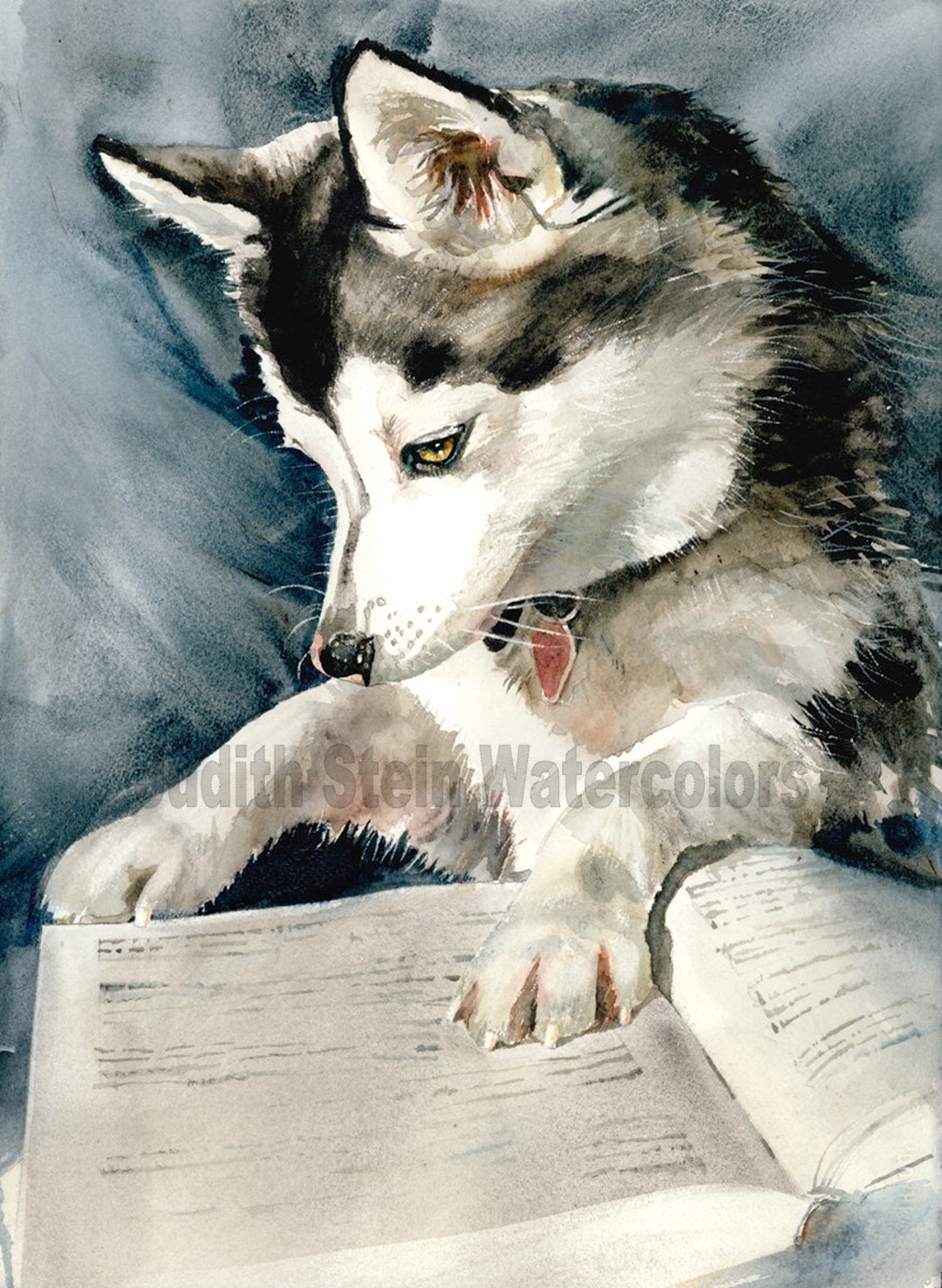 Klee Kai Siberian Husky, Eskimo, United Kennel Club, Pet Portrait Dog  Watercolor Painting Print, Wall Art, Home Decor dog Eared K9stein 
