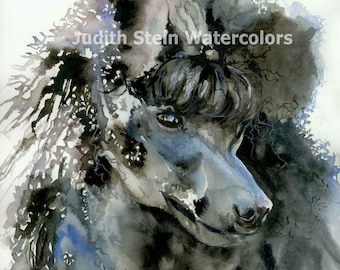 Poodle Miniature, Black, French, AKC Toy Lap Dog, Pet Portrait Dog Art Watercolor Painting Print, Wall Art, Home Decor, "Couleur Noire"