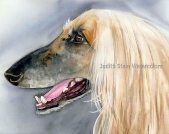 Afghan Sighthound, Fawn, Cream, AKC Hound, Pet Portrait Dog Art Watercolor Painting Art Print, Wall Art, Home Decor "Afghan Hound" k9stein
