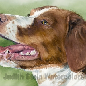 Brittany Spaniel, Orange, Liver, White, AKC Sporting, Hunting, Pet Portrait Dog Art Watercolor Painting Print, Wall Art, Home Decor, &quot;Brit&quot;
