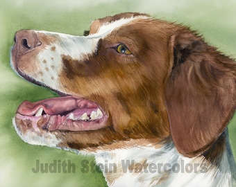 Brittany Spaniel, Orange, Liver, White, AKC Sporting, Hunting, Pet Portrait Dog Art Watercolor Painting Print, Wall Art, Home Decor, "Brit"