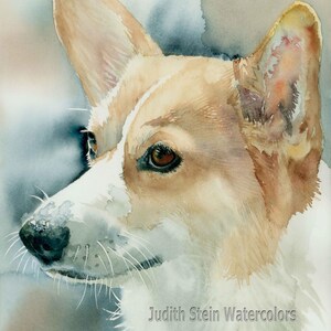May include: Watercolor painting of a dog's head. The dog has brown and white fur, with one ear folded back. The dog is looking to the left of the image. The painting is signed "Judith Stein Watercolors" in the bottom right corner.