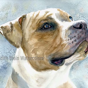 American Pit bull Terrier, Pittie, Brown & White, Pet Portrait Dog Art Watercolor Painting Print, Wall Art, Home Decor, &quot;Ain&#39;t Misbehavin&quot;