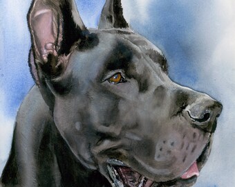 Great Dane, Black, Docked Ears, Apollo, AKC Working, Pet Portrait Dog Art Watercolor Painting Print, Wall Art, Home Decor, "Big Danish"