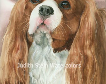 Puede incluir: Pintura acuarela de un perro Cavalier King Charles Spaniel con pelaje marrón y blanco. El perro tiene una expresión dulce y está mirando hacia arriba. El fondo es de color rosa suave.