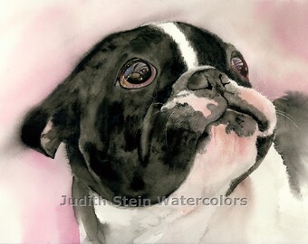 French Bulldog, AKC Non Sporting, Pied, Black White, Pet Portrait Dog Art Giclee Watercolor Painting Print, Wall Art, Home Decor, "Who, Me?"