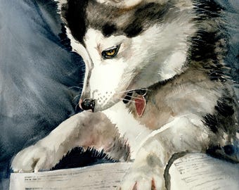 Klee Kai Siberian Husky, Eskimo, United Kennel Club, Pet Portrait Dog Watercolor Painting Print, Wall Art, Home Decor "Dog Eared" k9stein
