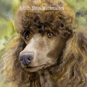 May include: Watercolor painting of a brown poodle with curly fur. The dog is looking to the left of the image. The background is a soft green and yellow.