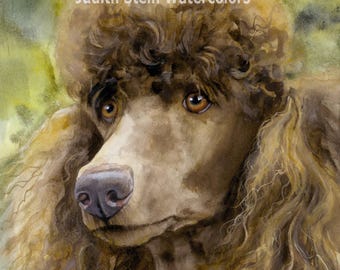 Poodle Standard Brown, cafe au lait, AKC Non Sporting, Pet Portrait Dog Art Watercolor Painting Print, Wall Art, Home Decor, "Truffle Face"