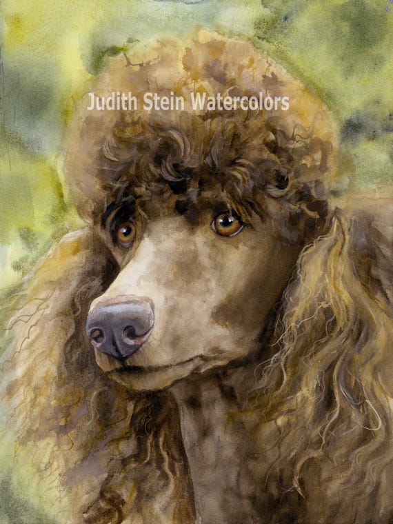 Poodle Umbrella - Brown Standard Poodle Umbrella - Brown Standard
