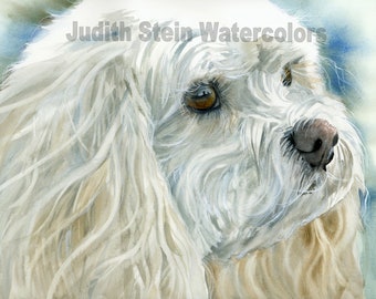 Cavachon, Cavalier & Bichon Designer Dog, Pet Portrait Dog Art Watercolor Painting Art Print, Wall Art, Home Decor "Perfect Pet" k9stein