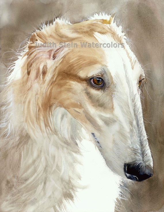 Borzoi, Russian Wolfhound, Fawn, White AKC Hound, Pet Portrait Dog  Watercolor Painting Art Print, Wall Art, Home Decor 