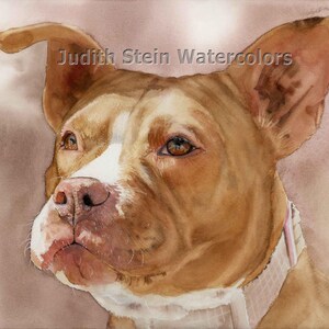 American Pit bull Terrier, Pittie, Red & White, Pet Portrait Dog Art Watercolor Painting Print, Wall Art, Home Decor, &quot;America&#39;s Sweetheart&quot;