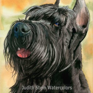 Giant Schnauzer, AKC Working, Pet Portrait Dog Art Watercolor Painting Print, Wall Art, Home Decor, "Jolly Giant" Judith Stein k9stein
