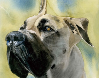 Great Dane, Fawn, Docked Ear, AKC Working, Pet Portrait Dog Watercolor Painting Print, Wall Art, Home Decor, "Deutsche Dogge" k9stein