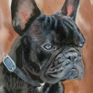 French Bulldog, AKC Non Sporting, Black Brindle, Pet Portrait Dog Art Watercolor Painting Print, Wall Art, Home Decor, "Dexter" Judith Stein